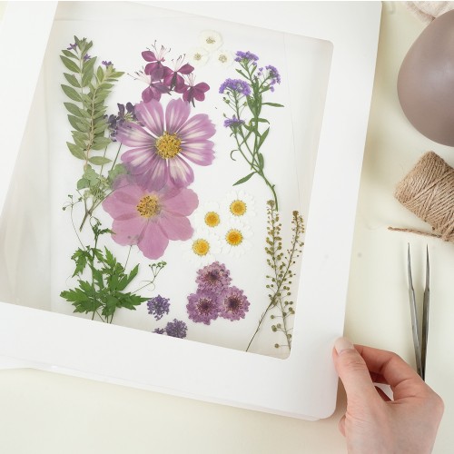 ��ǰ�̹���